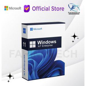 Windows 11 IoT Enterprise License Key ESD