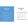 Windows 11 IoT Enterprise License Key ESD - Image 2