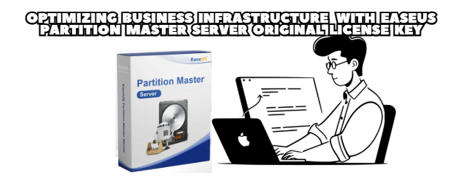 Optimizing Business Infrastructure with EaseUS Partition Master Server Original License Key
