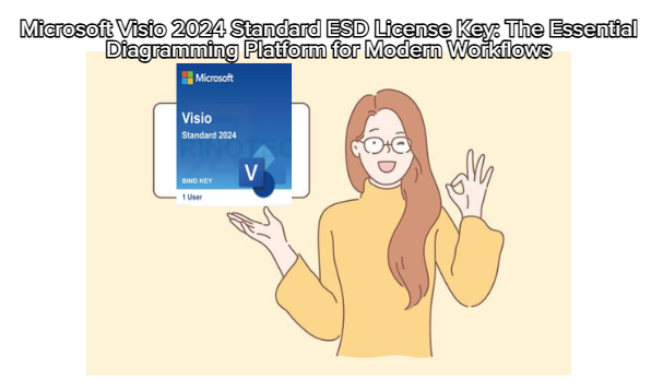 Microsoft Visio 2024 Standard ESD License Key: The Essential Diagramming Platform for Modern Workflows