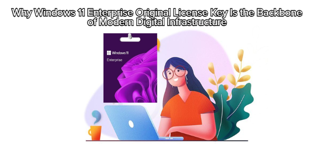 Why Windows 11 Enterprise Original License Key Is the Backbone of Modern Digital Infrastructure