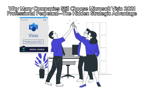 Why Many Companies Still Choose Microsoft Visio 2021 Professional Perpetual—The Hidden Strategic Advantage