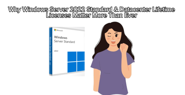 Why Windows Server 2022 Standard & Datacenter Lifetime Licenses Matter More Than Ever