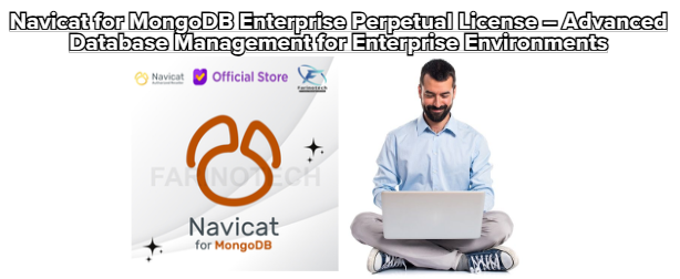 Navicat for MongoDB Enterprise Perpetual License – Advanced Database Management for Enterprise Environments
