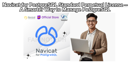 Navicat for PostgreSQL Standard Perpetual License – A Smarter Way to Manage PostgreSQL