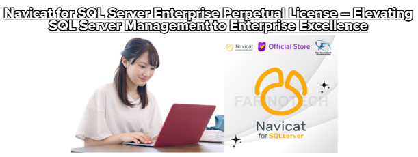 Navicat for SQL Server Enterprise Perpetual License – Elevating SQL Server Management to Enterprise Excellence