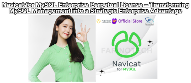 Navicat for MySQL Enterprise Perpetual License – Transforming MySQL Management into a Strategic Enterprise Advantage