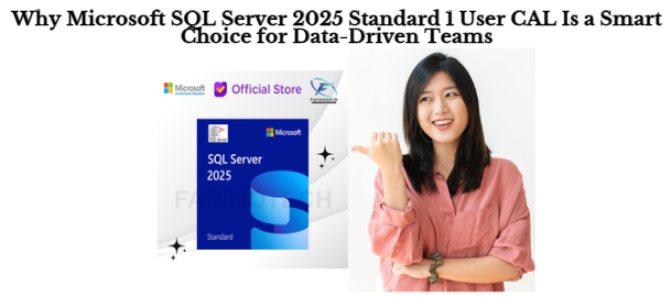 Why Microsoft SQL Server 2025 Standard 1 User CAL Is a Smart Choice for Data-Driven Teams