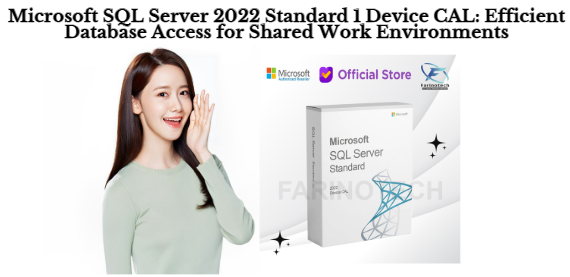 Microsoft SQL Server 2022 Standard 1 Device CAL: Efficient Database Access for Shared Work Environments