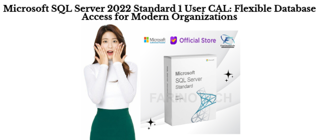 Microsoft SQL Server 2022 Standard 1 User CAL: Flexible Database Access for Modern Organizations