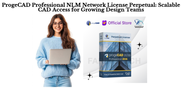 ProgeCAD Professional NLM Network License Perpetual: Scalable CAD Access for Growing Design Teams