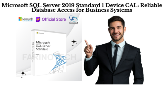 Microsoft SQL Server 2019 Standard 1 Device CAL: Reliable Database Access for Business Systems