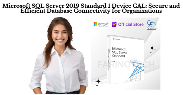 Microsoft SQL Server 2019 Standard 1 User CAL: Flexible Database Access for Modern Businesses