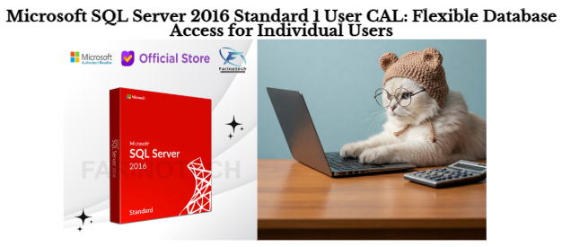 Microsoft SQL Server 2016 Standard 1 User CAL: Flexible Database Access for Individual Users