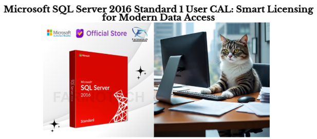 Microsoft SQL Server 2016 Standard 1 User CAL: Smart Licensing for Modern Data Access