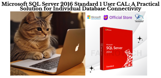 Microsoft SQL Server 2016 Standard 1 User CAL: A Practical Solution for Individual Database Connectivity