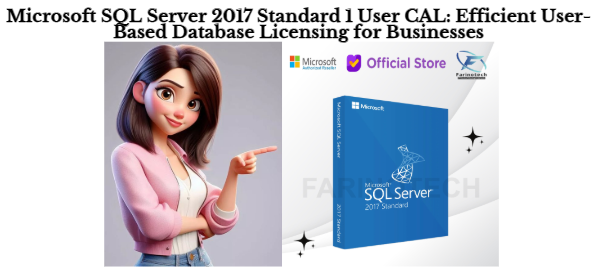 Microsoft SQL Server 2017 Standard 1 User CAL: Efficient User-Based Database Licensing for Businesses
