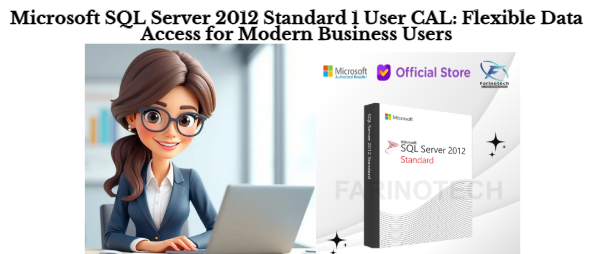 Microsoft SQL Server 2012 Standard 1 User CAL: Flexible Data Access for Modern Business Users
