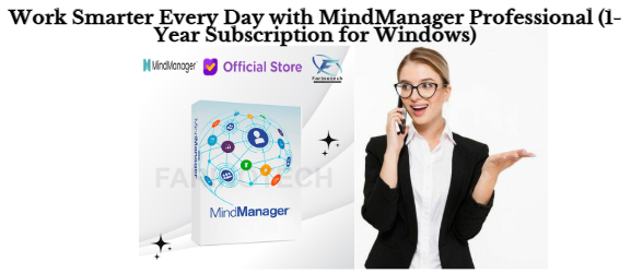 Work Smarter Every Day with MindManager Professional (1-Year Subscription for Windows)